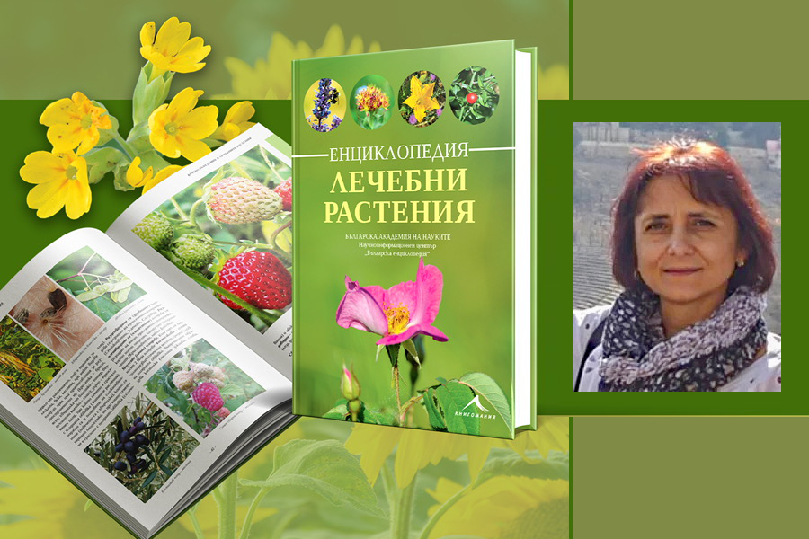 снимка на корицата на книгата и проф. Илина Кръстева