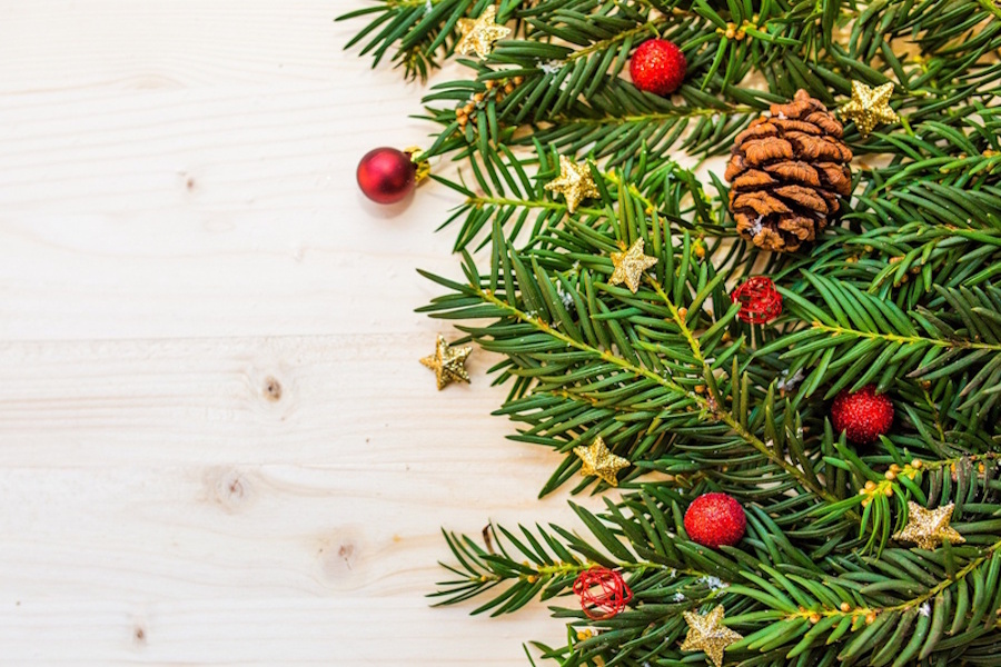 ВЕСЕЛИ ПРАЗНИЦИ ОТ INGENIUM