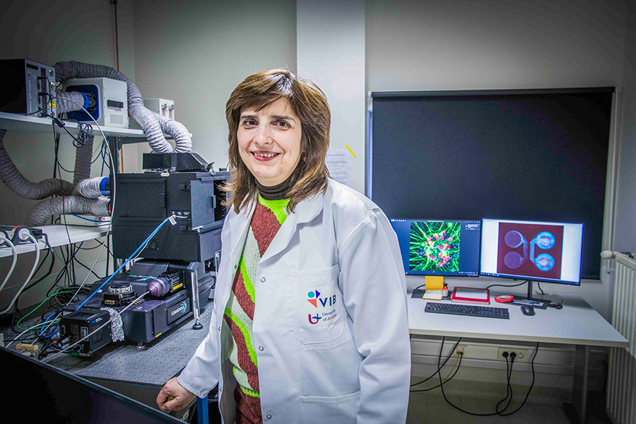 проф. Албена Йорданова