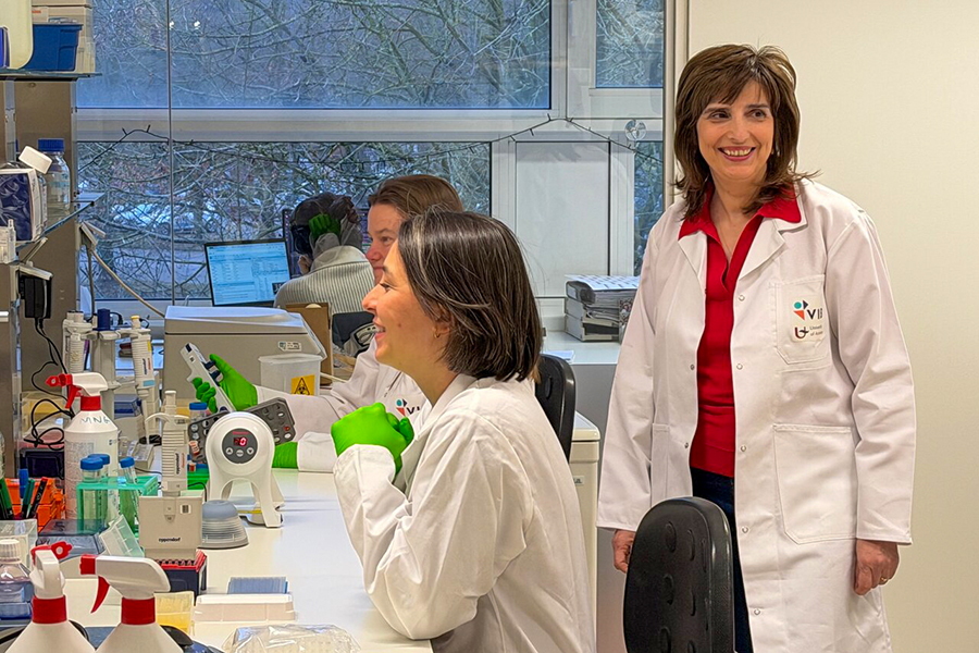 проф. Албена Йорданова